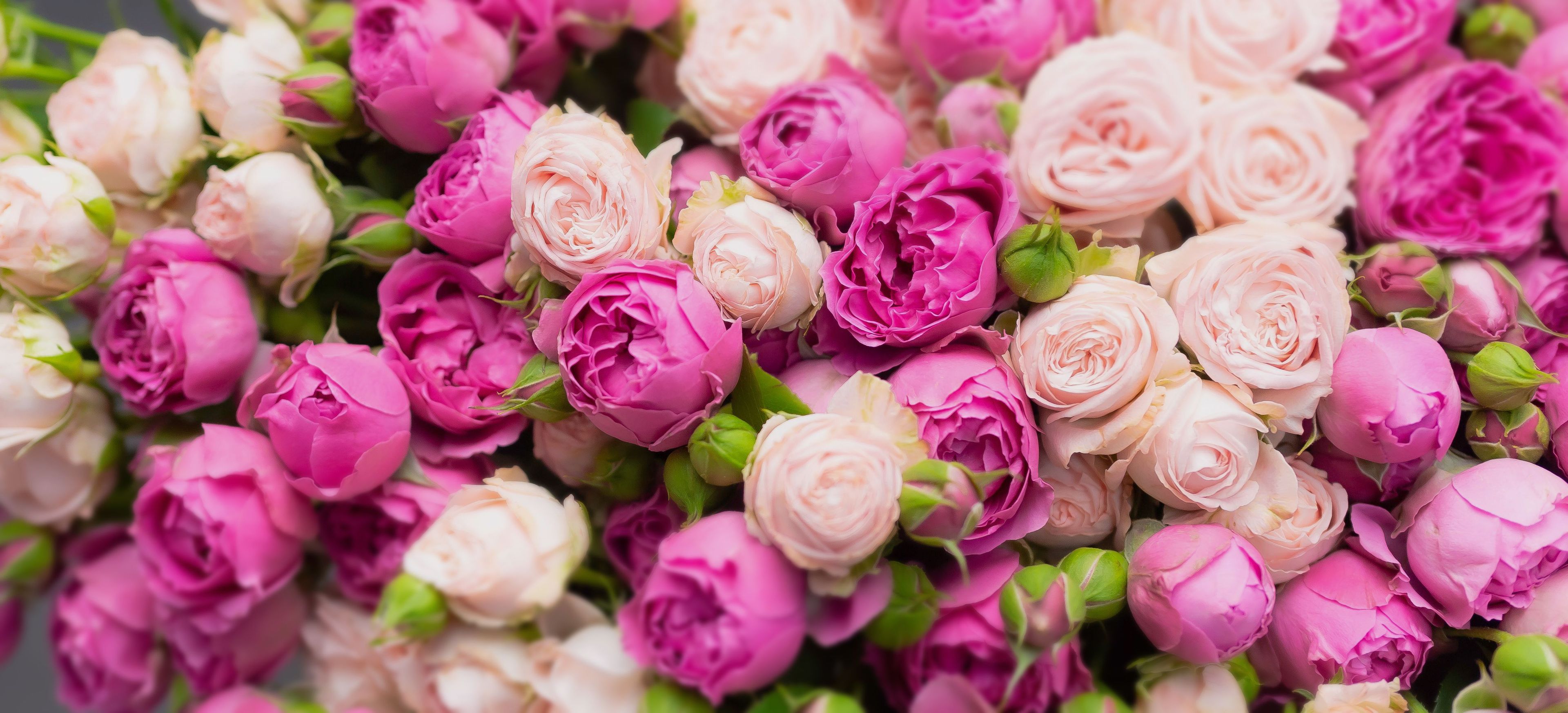 Цветы. Быстро. Точно в сердце. 