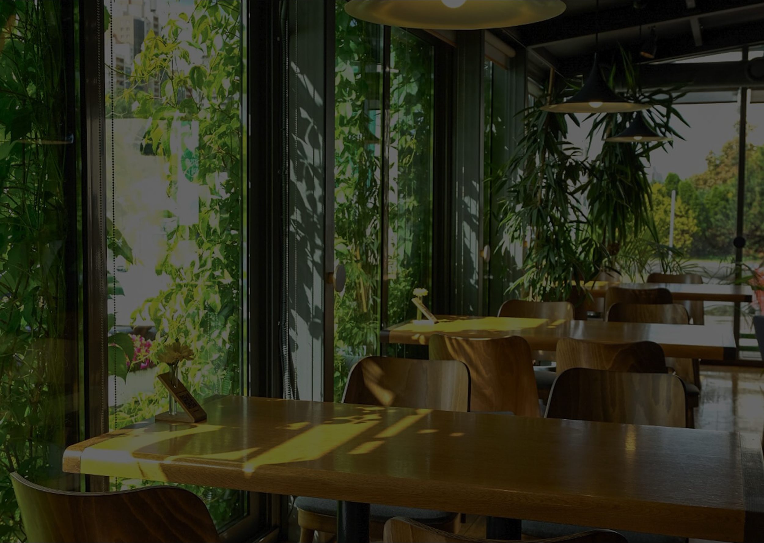 Посетите Bonobo