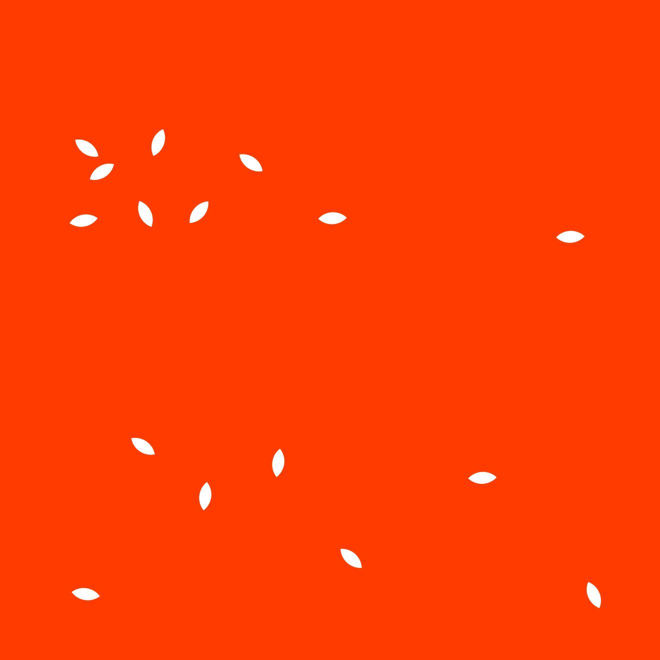 «FARIS» палауы — дәстүрлі дәмнің жалғасы!