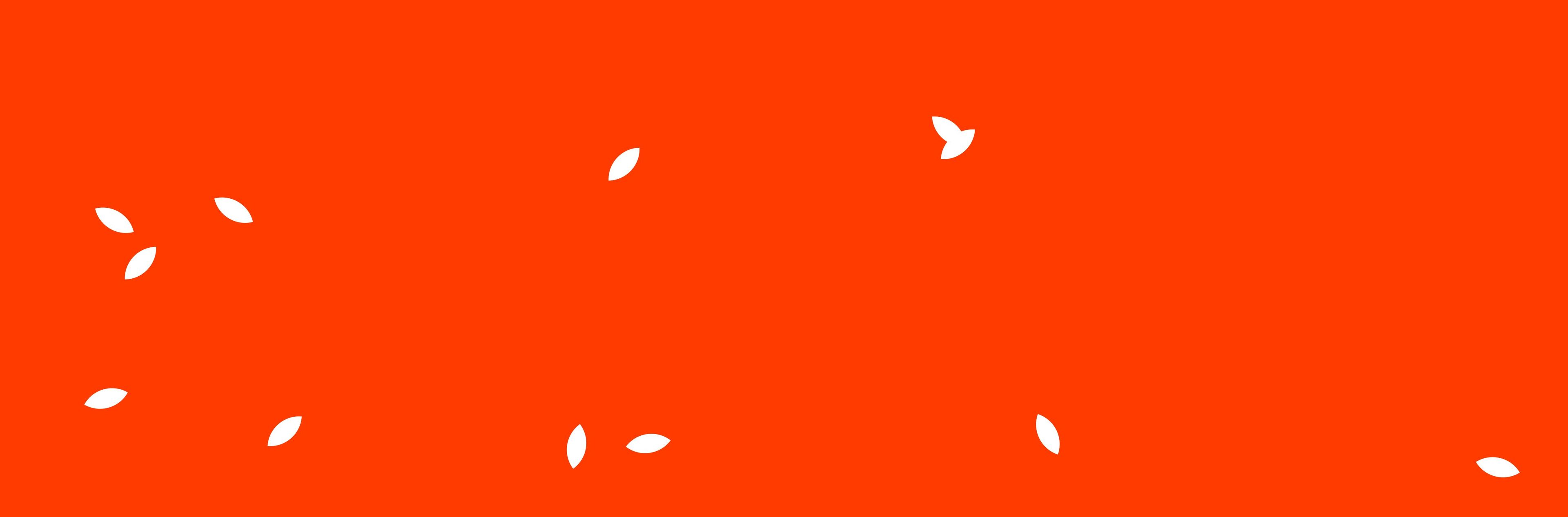 «FARIS» палауы — дәстүрлі дәмнің жалғасы!