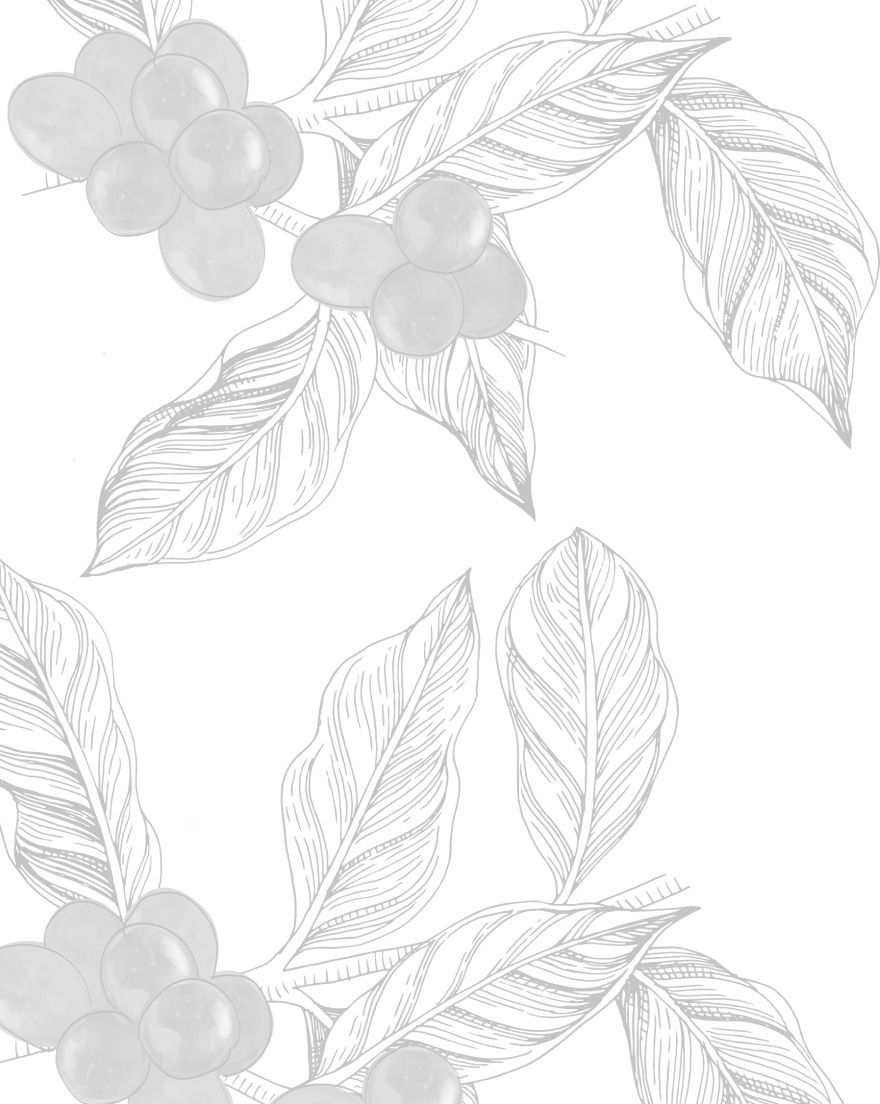 Кофе класса specialty в Санкт-Петербурге